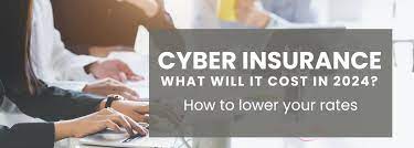 Cyber Insurance Coverage 2024